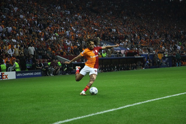 或许试着增 或许试着增