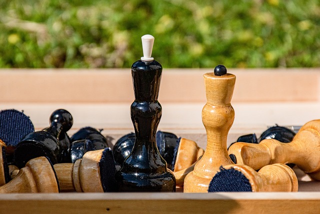 众与球迷为 众与球迷为