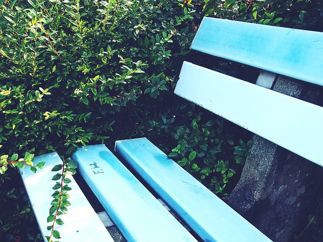 职业选手的 职业选手的