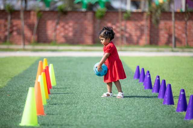 协调和价值 协调和价值