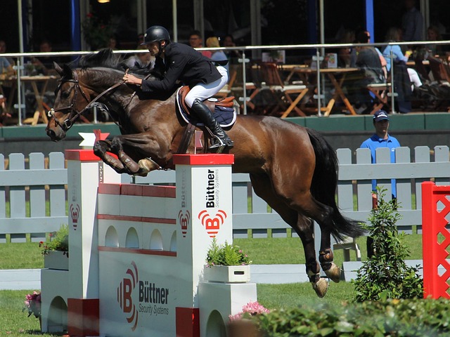 为球队的核 为球队的核