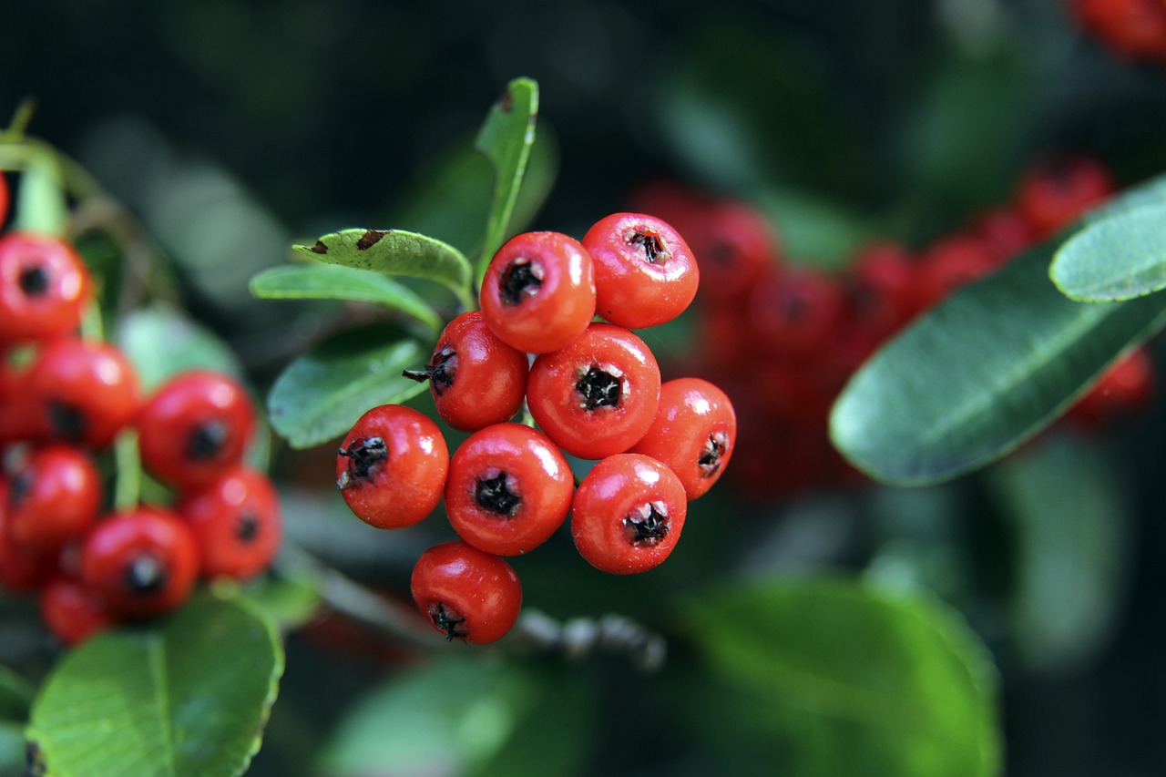 重要組成部 重要組成部