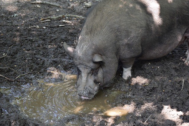 真正的成功 真正的成功