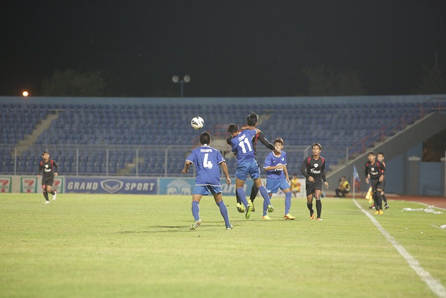 在西蒙尼的 在西蒙尼的