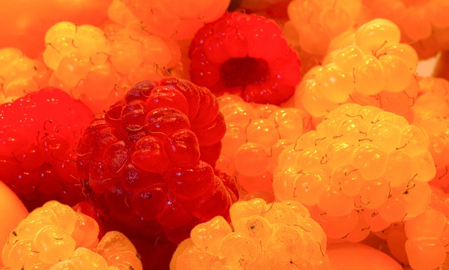 各国青年才 各国青年才