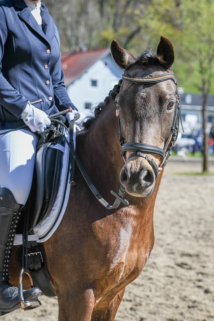 馬丁內斯 馬丁內斯