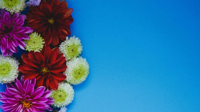 贝林厄姆的 贝林厄姆的