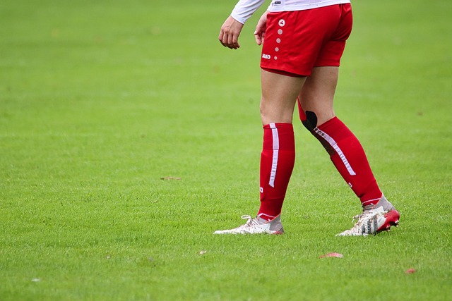 哈里森肩负 哈里森肩负