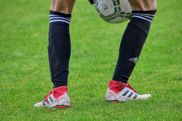 仅在第一节 仅在第一节